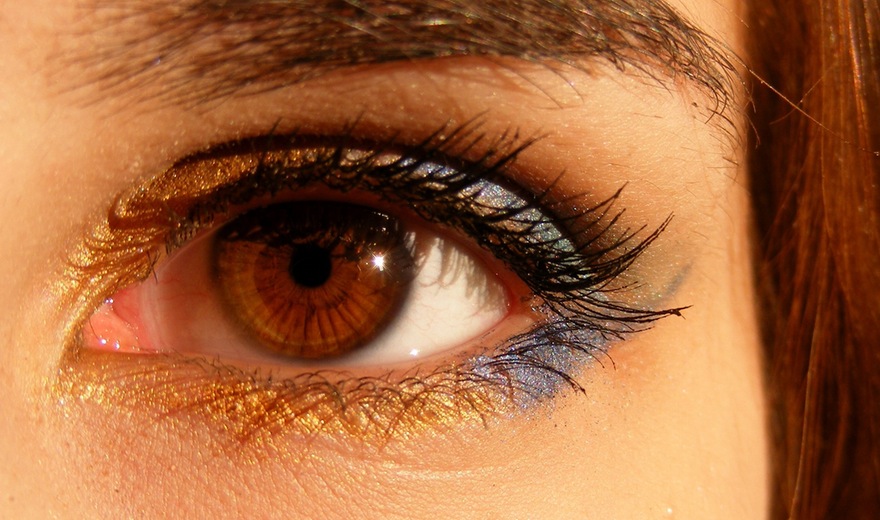 brown brown eyes iris gene 46279